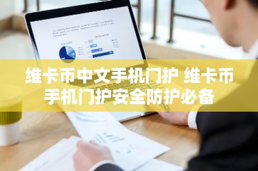维卡币中文手机门护 维卡币手机门护安全防护必备