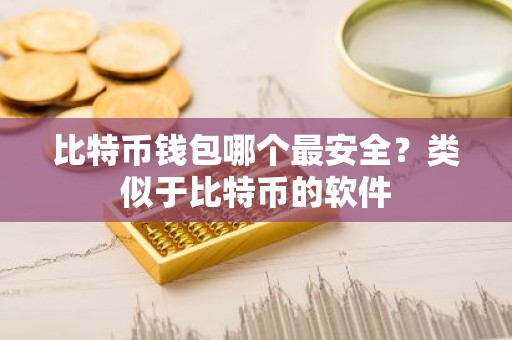 比特币钱包哪个最安全？类似于比特币的软件