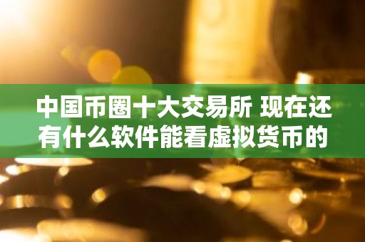 中国币圈十大交易所 现在还有什么软件能看虚拟货币的