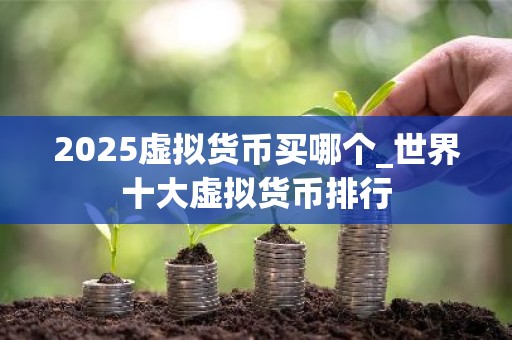2025虚拟货币买哪个_世界十大虚拟货币排行