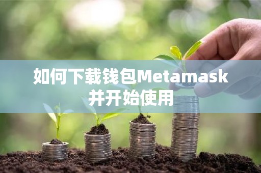 如何下载钱包Metamask并开始使用