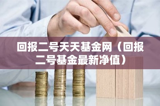 回报二号天天基金网（回报二号基金最新净值）
