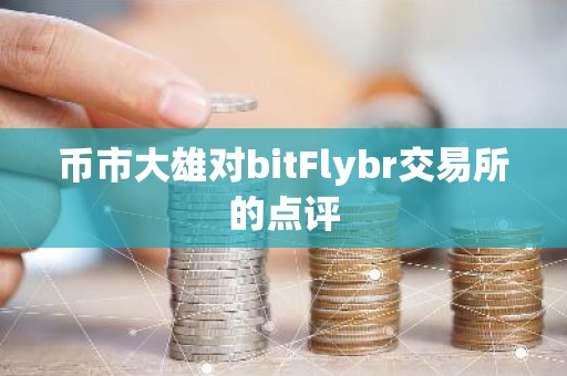 币市大雄对bitFlybr交易所的点评