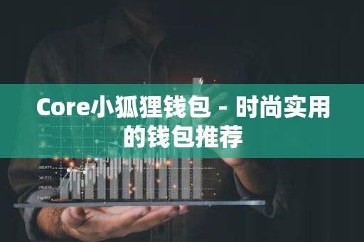 Core小狐狸钱包 - 时尚实用的钱包推荐