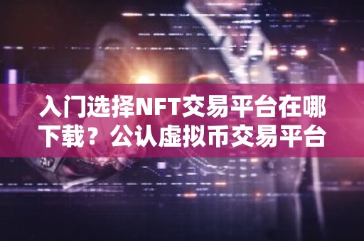 入门选择NFT交易平台在哪下载？公认虚拟币交易平台用户量排名