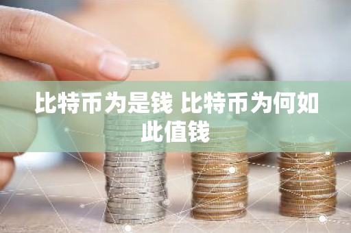 比特币为是钱 比特币为何如此值钱
