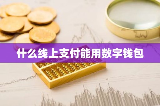 什么线上支付能用数字钱包