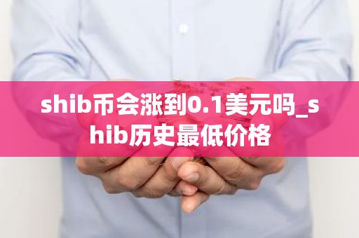 shib币会涨到0.1美元吗_shib历史最低价格