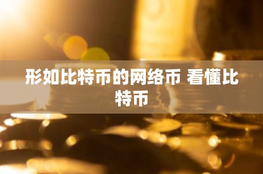 形如比特币的网络币 看懂比特币