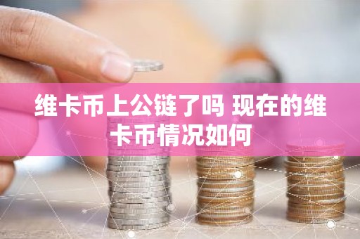 维卡币上公链了吗 现在的维卡币情况如何