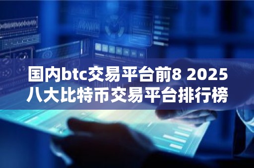 国内btc交易平台前8 2025八大比特币交易平台排行榜