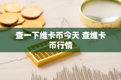 查一下维卡币今天 查维卡币行情