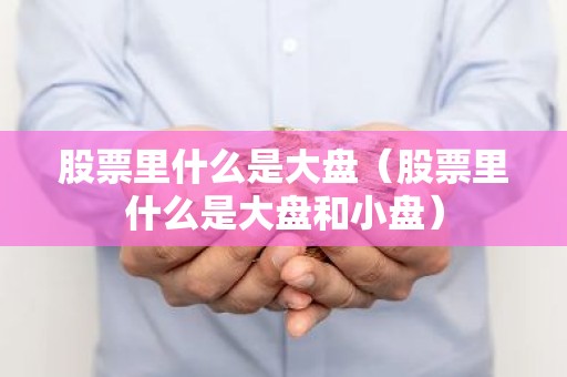 股票里什么是大盘（股票里什么是大盘和小盘）