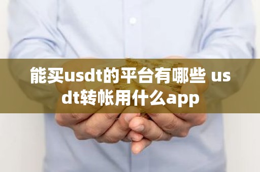 能买usdt的平台有哪些 usdt转帐用什么app