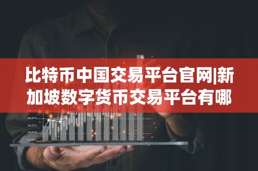 比特币中国交易平台官网|新加坡数字货币交易平台有哪些