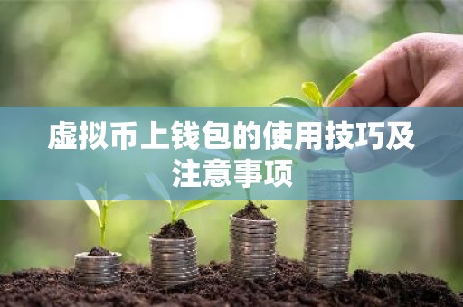 虚拟币上钱包的使用技巧及注意事项