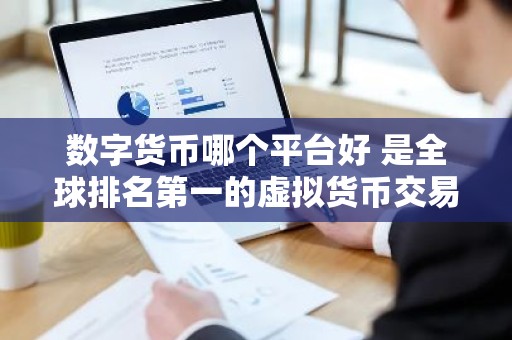 数字货币哪个平台好 是全球排名第一的虚拟货币交易所