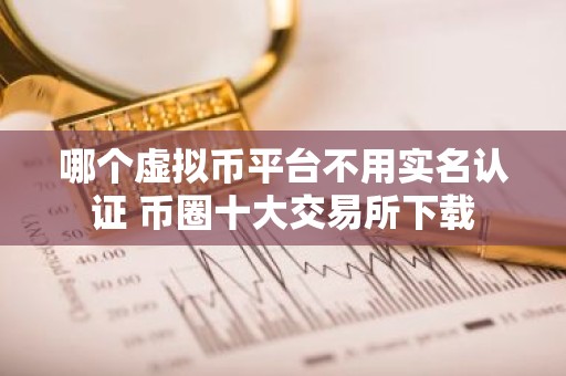 哪个虚拟币平台不用实名认证 币圈十大交易所下载