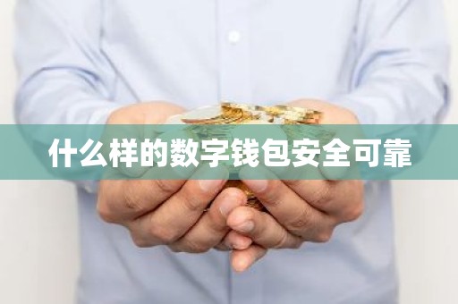 什么样的数字钱包安全可靠