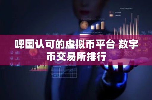 嗯国认可的虚拟币平台 数字币交易所排行