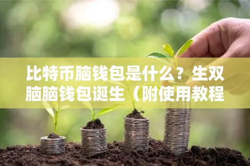 比特币脑钱包是什么？生双脑脑钱包诞生（附使用教程）
