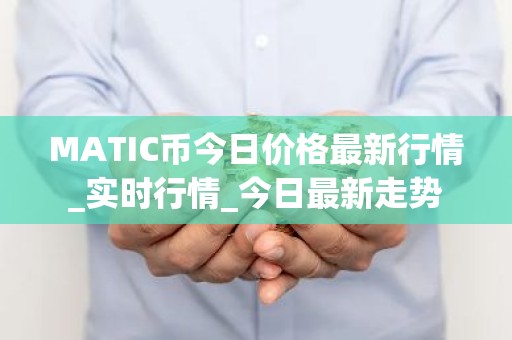 MATIC币今日价格最新行情_实时行情_今日最新走势