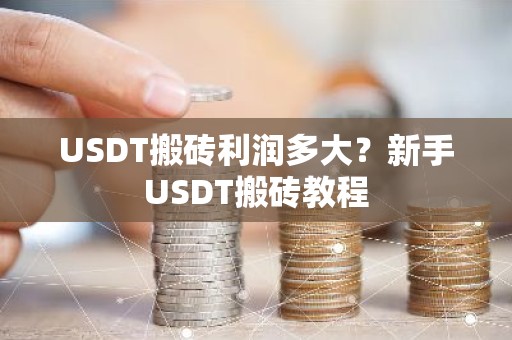USDT搬砖利润多大？新手USDT搬砖教程