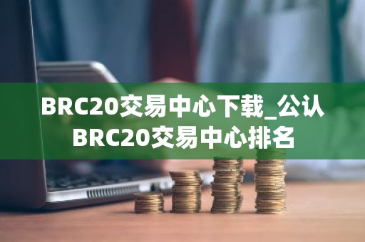 BRC20交易中心下载_公认BRC20交易中心排名