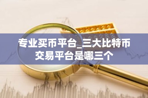 专业买币平台_三大比特币交易平台是哪三个