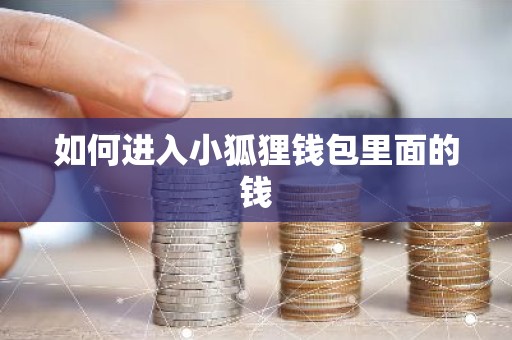 如何进入小狐狸钱包里面的钱