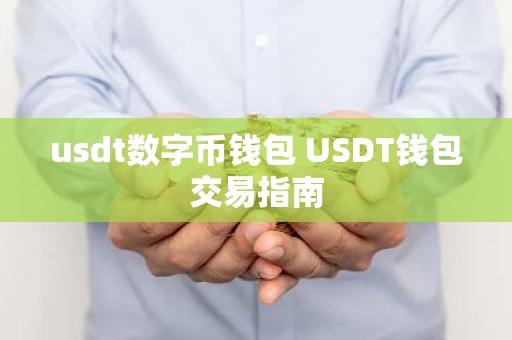 usdt数字币钱包 USDT钱包交易指南