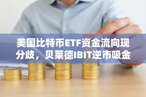 美国比特币ETF资金流向现分歧，贝莱德IBIT逆市吸金