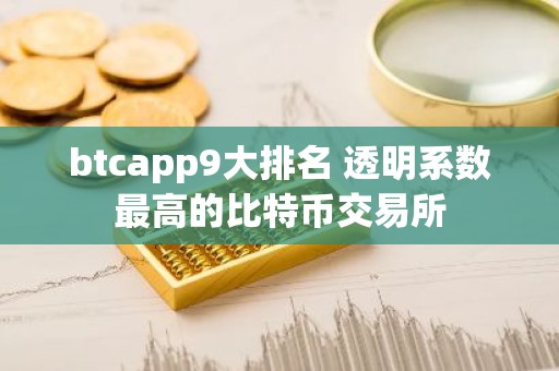 btcapp9大排名 透明系数最高的比特币交易所