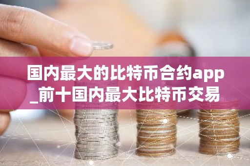 国内最大的比特币合约app_前十国内最大比特币交易排行