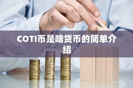 COTI币是啥货币的简单介绍