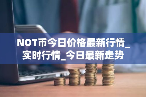 NOT币今日价格最新行情_实时行情_今日最新走势