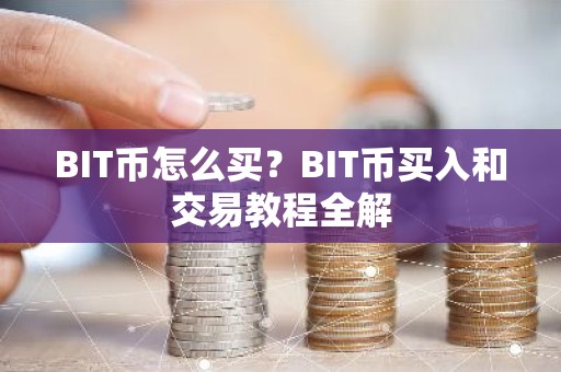 BIT币怎么买？BIT币买入和交易教程全解