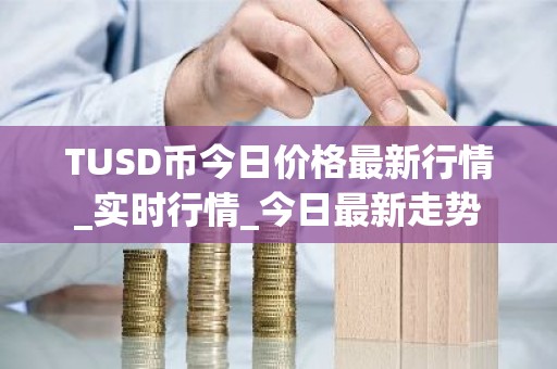 TUSD币今日价格最新行情_实时行情_今日最新走势
