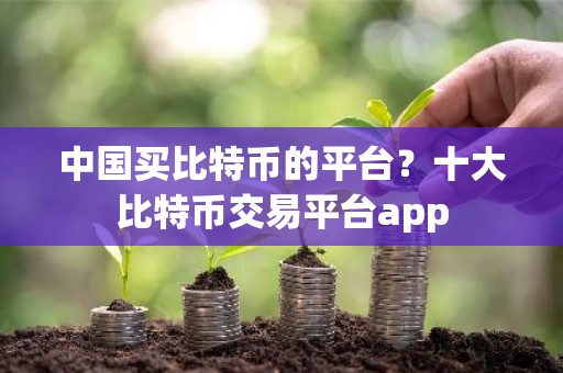 中国买比特币的平台？十大比特币交易平台app