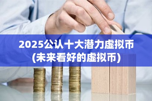 2025公认十大潜力虚拟币(未来看好的虚拟币)