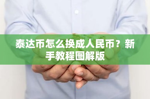 泰达币怎么换成人民币？新手教程图解版