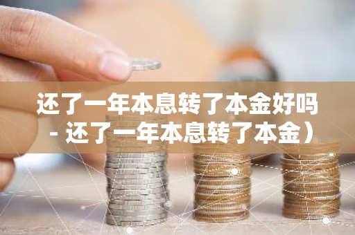 还了一年本息转了本金好吗 - 还了一年本息转了本金）