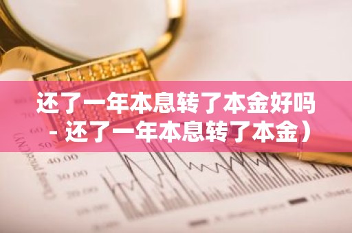 还了一年本息转了本金好吗 - 还了一年本息转了本金）