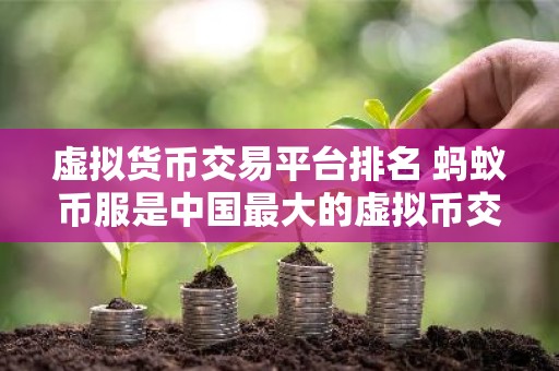 虚拟货币交易平台排名 蚂蚁币服是中国最大的虚拟币交易平台吗？