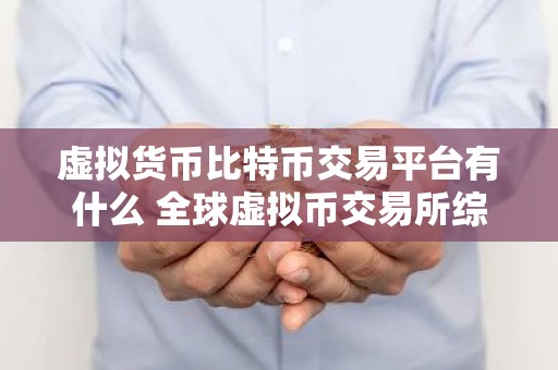 虚拟货币比特币交易平台有什么 全球虚拟币交易所综合实力排名