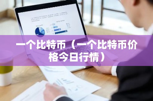 一个比特币（一个比特币价格今日行情）