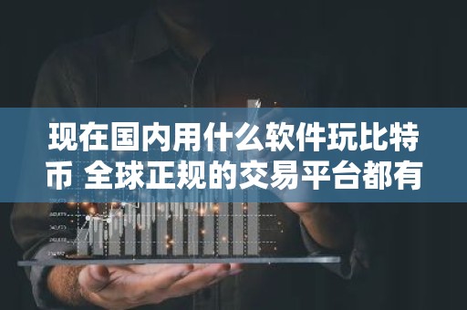 现在国内用什么软件玩比特币 全球正规的交易平台都有哪些？