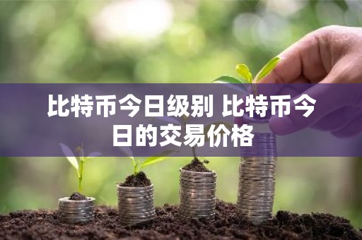 比特币今日级别 比特币今日的交易价格