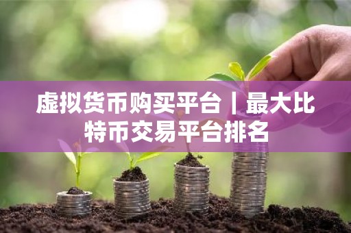 虚拟货币购买平台｜最大比特币交易平台排名