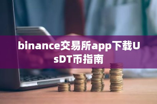 binance交易所app下载UsDT币指南